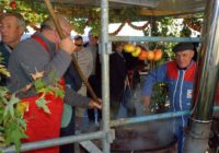 Fête du pommé à Bazouges-la-Pérouse