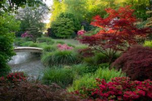 Jardins du Soleil Levant au Parc Botanique de Haute Bretagne