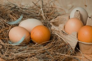 Oeufs