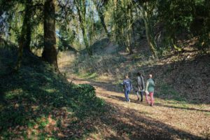 Promenade sur le site de la motte du Châtel