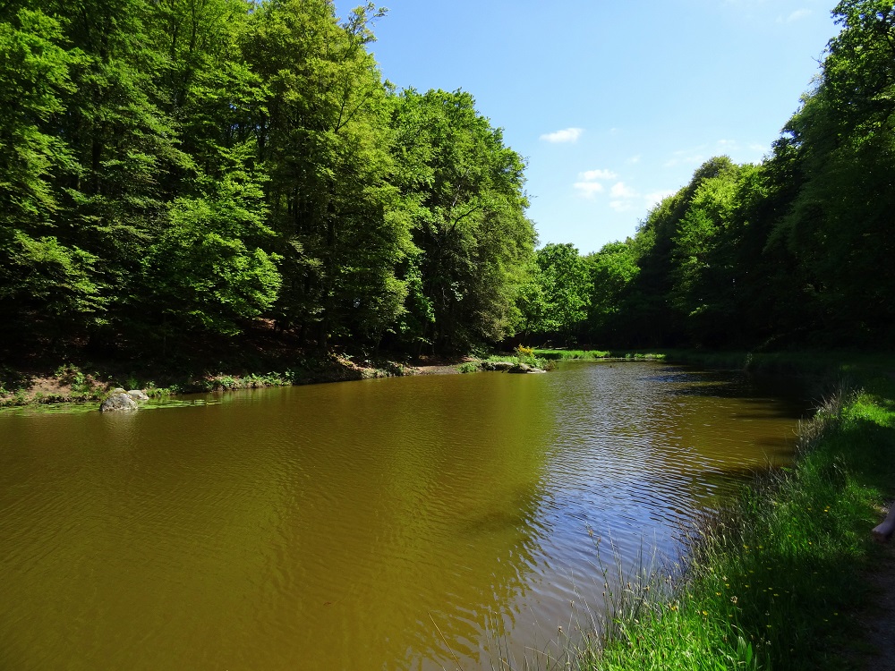 Etang de la Croix Madame