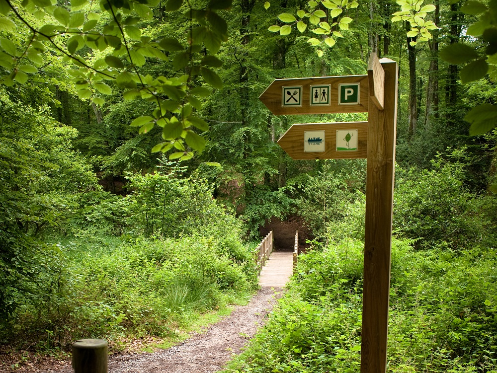 Pont en forêt de Villecartier