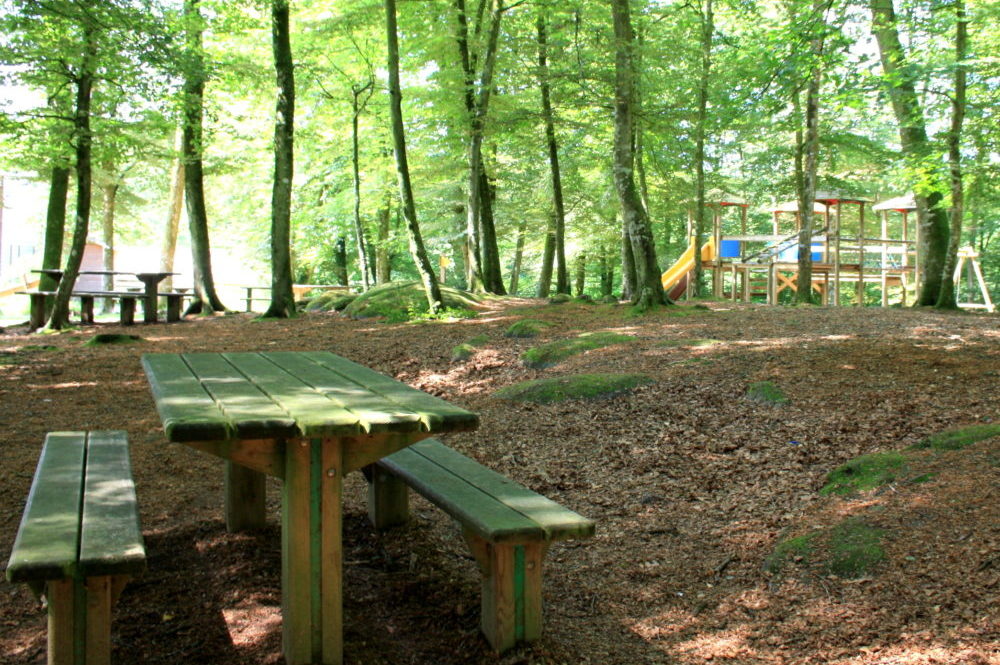 Aire de pique-nique en forêt de Villecartier